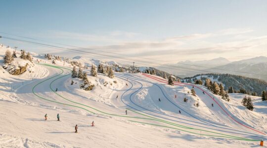 Skieurs de différents niveaux évoluant sur des pistes variées en montagne